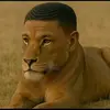 nicolrtajcq