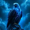 user4334791286618