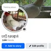FB:បក្សីកូនបង្កាត់