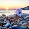 sahar.hegazy13