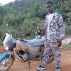 rassite1