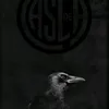 vic3nt355