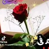 chams.doha703