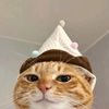 beachistsbz