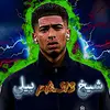 peli_313