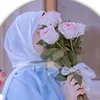amnmhd1