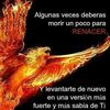 renacerd.d