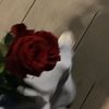 aishaahmed7074
