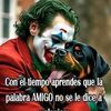 josthin.fernando1