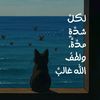 user11387471280764