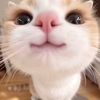 josa_120813