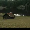 kaarlosshh