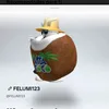 felumi123