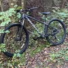 mtb_vinne