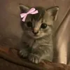 karlaaagz10