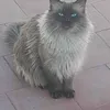 mohammed.mouhi3