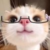mar_elly.mtzz