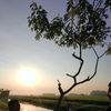 gilang70736