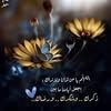 om.rahf4