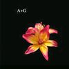 an.gi_17