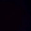daleysa_nicol