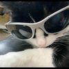 littlegrils__12