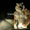 xtodzix