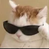 miguel_219.3