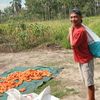 hendri.hendri062