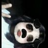 noe.noe2238