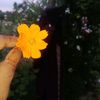 mis.rupa.khatun7