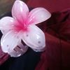 manyata_shrestha2