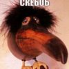 choshka22