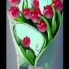 rima78476