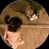 shimaa.miluod