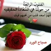 user37875944095888