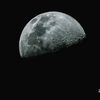 justas.kondrotas
