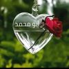 abed.alnheri