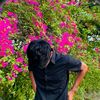 abidbabu097