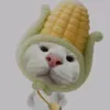 dduy053