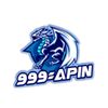 999apinn1