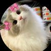 maria.islam.mou3