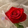 নীল আকাশের তারা ❤️❤️❤️❤️🌹🌹🌹
