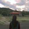 suci_m0sja