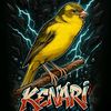 bayu.cengoh.v2
