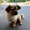 louis.kalandok