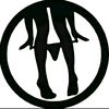 katanyaikall_