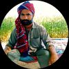 dilawar.lashari449