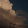uiuicat