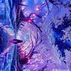 editz_609x
